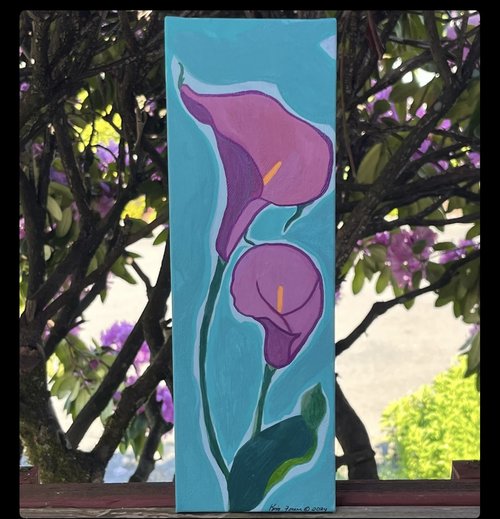 Calla Lilies