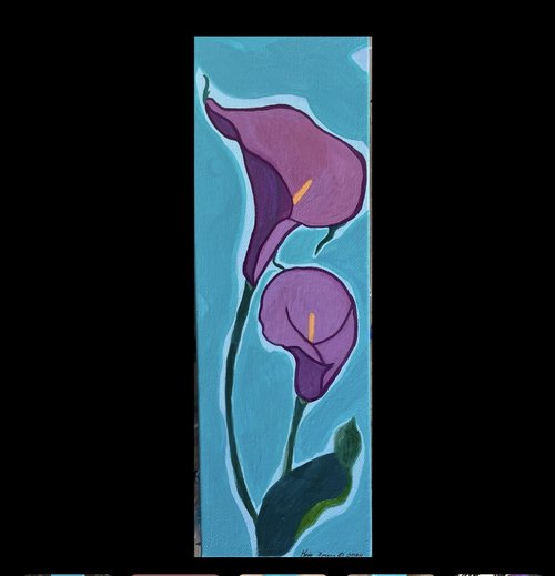 Calla Lilies