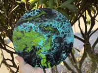 Tide Pool 