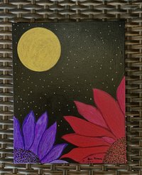 Night Blooms 