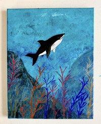 Sea Life 