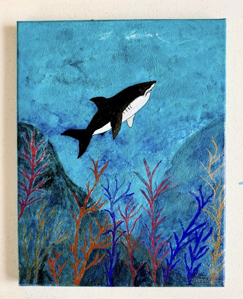Sea Life 