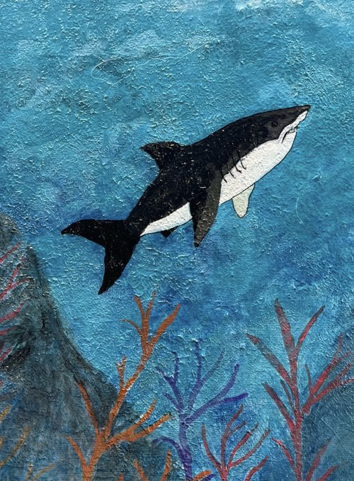 Sea Life 