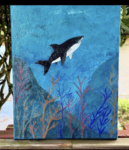 Sea Life 