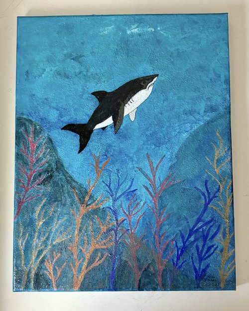 Sea Life 