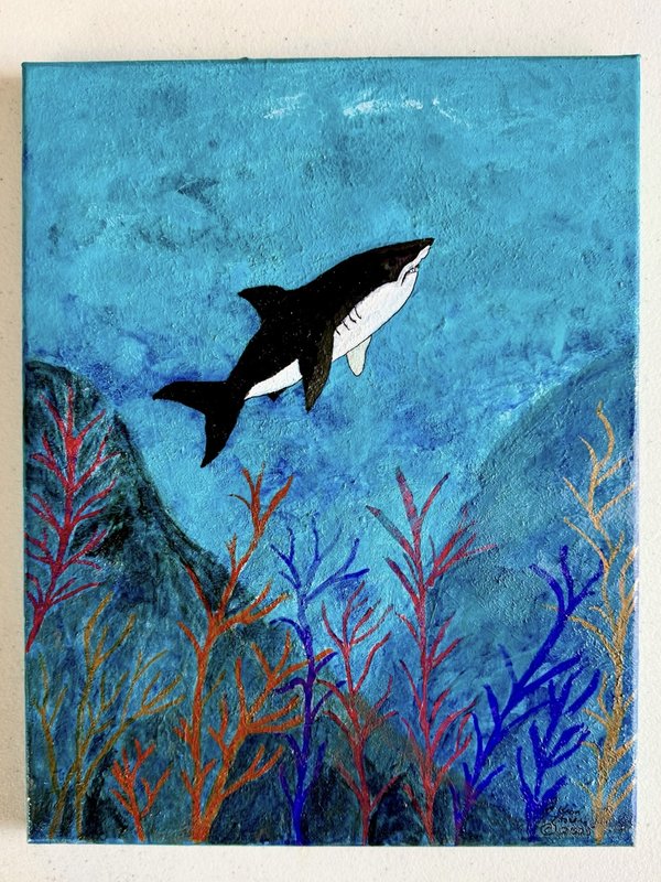 Sea Life 